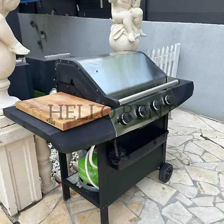 ヴィラ Grande Centre Havre De Paix カンヌ